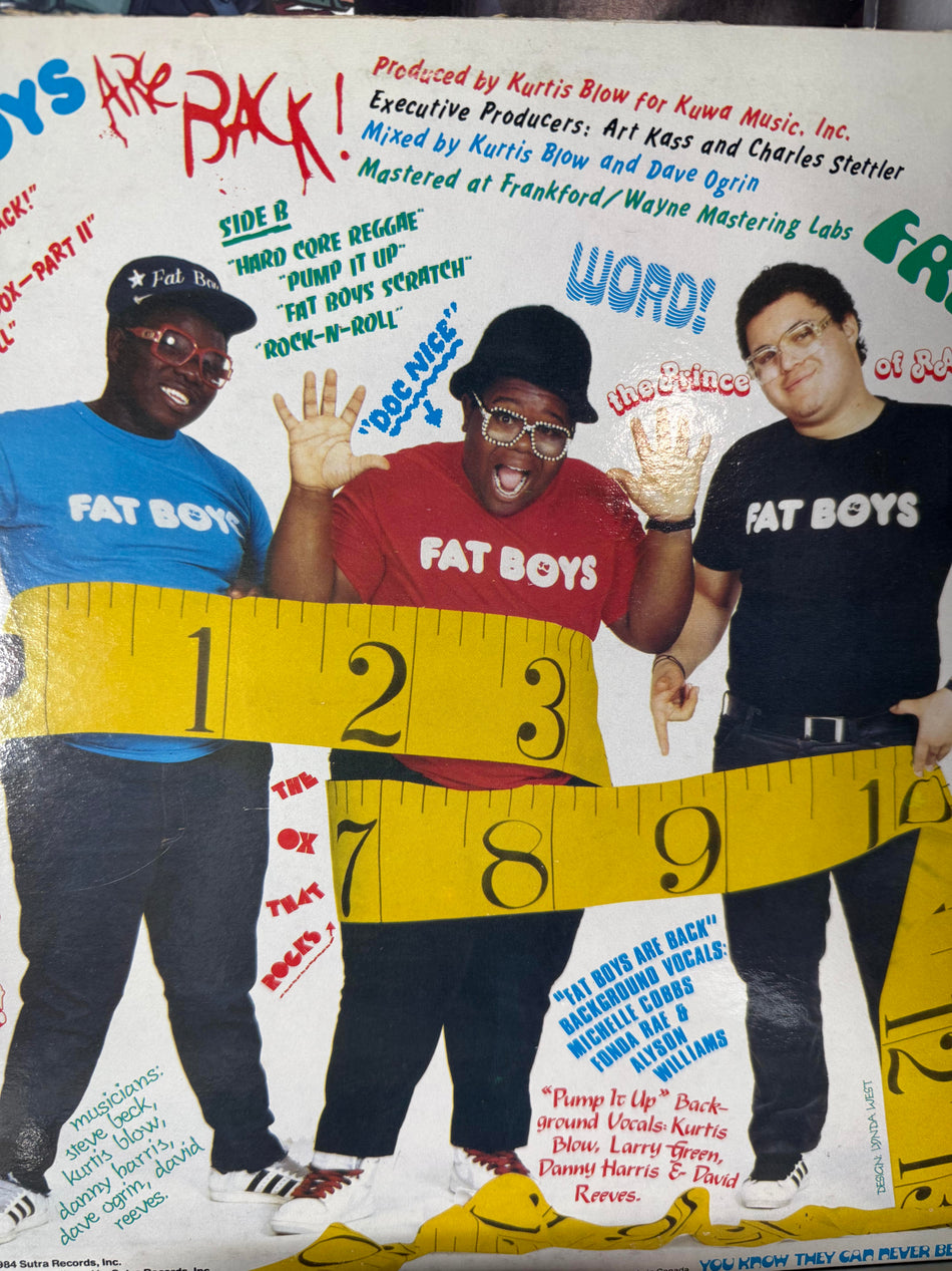 Fat Boys – The Fat Boys Are Back | Used Vinyl
